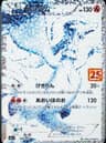 PSA 10 Gem Mint 2021 Pokemon Japanese Promo Card Pack 25th Anniversary Edition #020 Reshiram