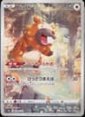 PSA 10 Gem Mint 2022 Pokemon Japanese Sword & Shield Vstar Universe #204 Bidoof